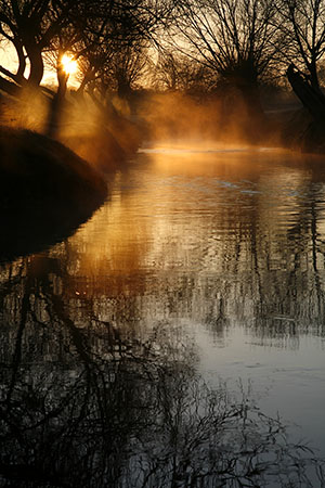 Beverley Brook sunrise, Richmond Park