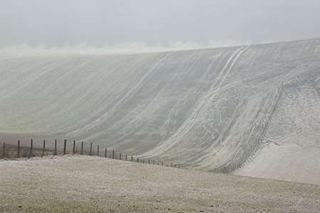 Streatley Warren, Berkshire Downs