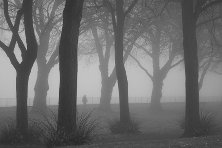 Wandsworth Park fog