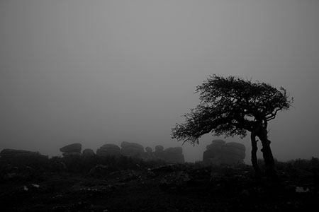 Combestone Tor, Dartmoor