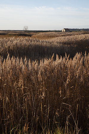 Thornham harbour, Norfolk