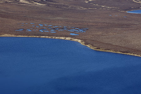 Flow Country, Sutherland, Scotland