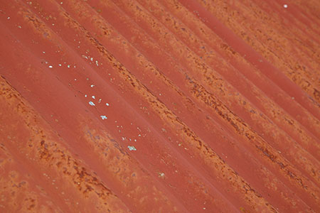 Flow Country rusting shed, Scotland