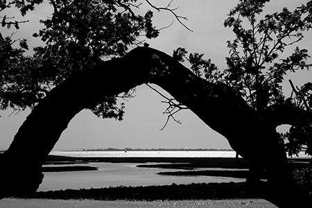 Chichester Harbour, West Itchenor, Sussex