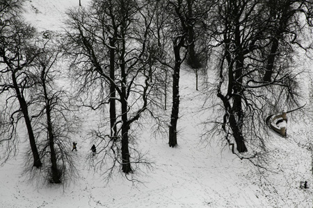 Kensington Gardens snow